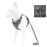 Dog Adjustable Harness Leash Set - Essentialshouses