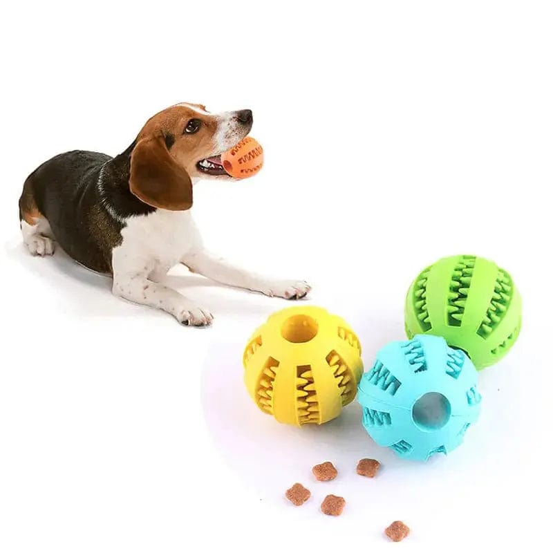 Dog Tooth Cleaning Food Ball Toy - Essentialshouses