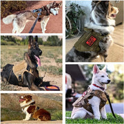 Dog Training Walking Vest Harness - Essentialshouses