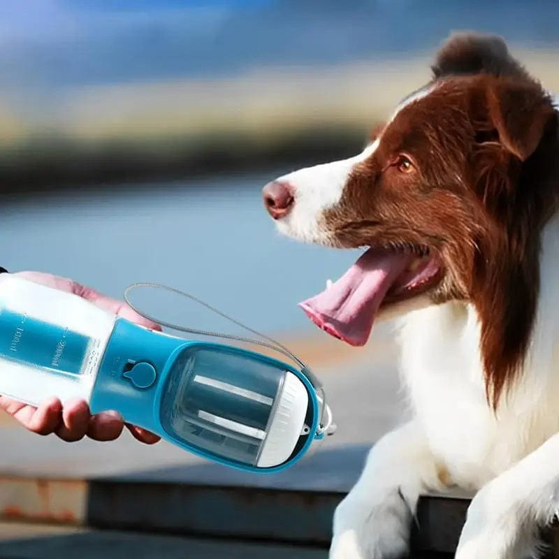 Dog water cup essentialshouse