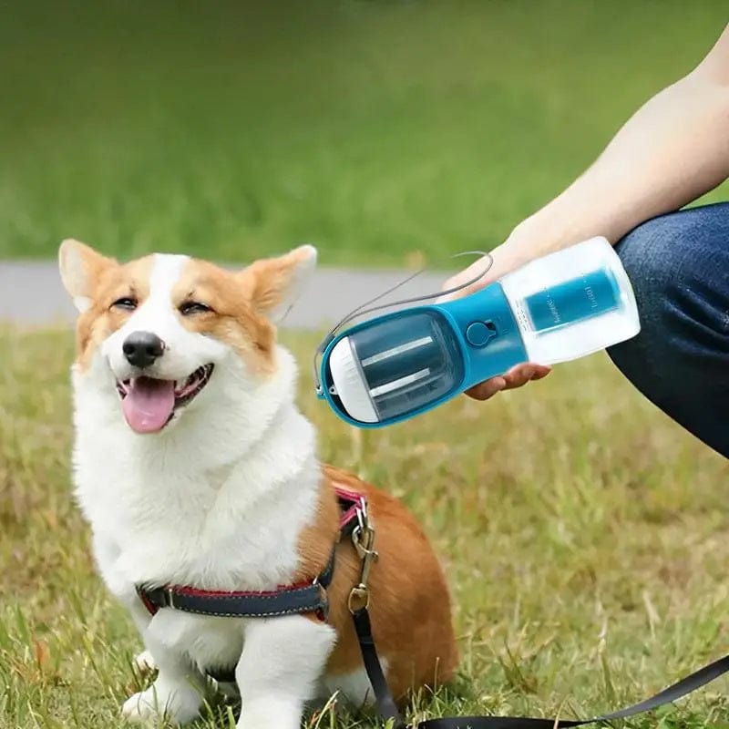 Dog water cup essentialshouse