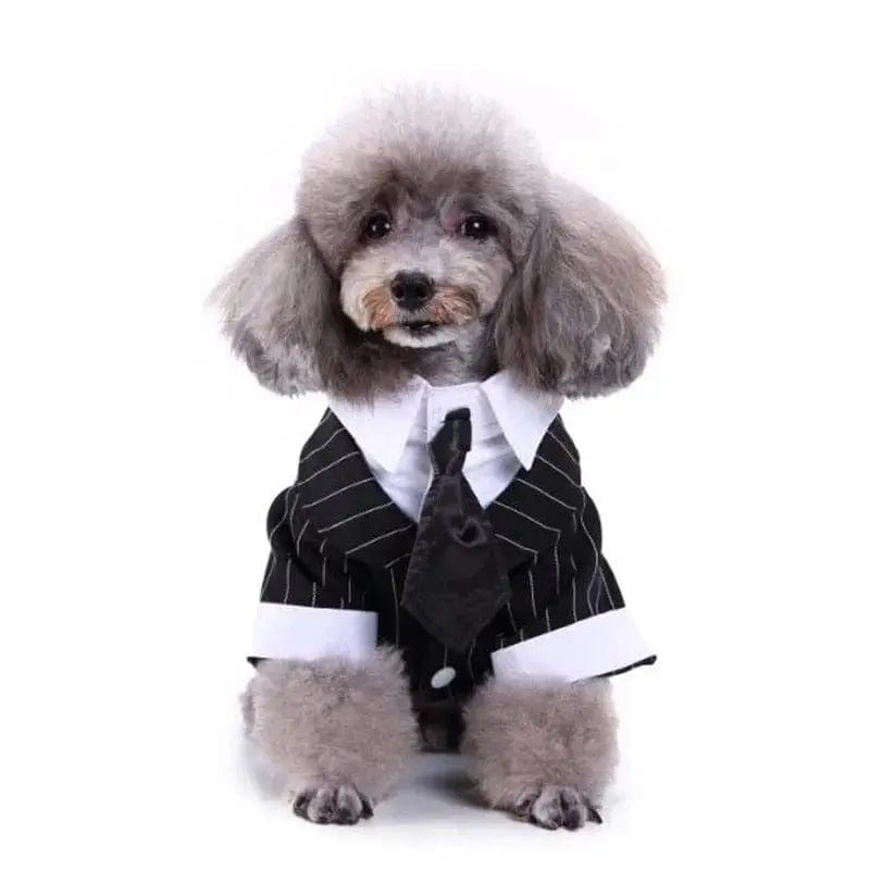 Cute Dog Tailcoat Suit - Essentialshouses