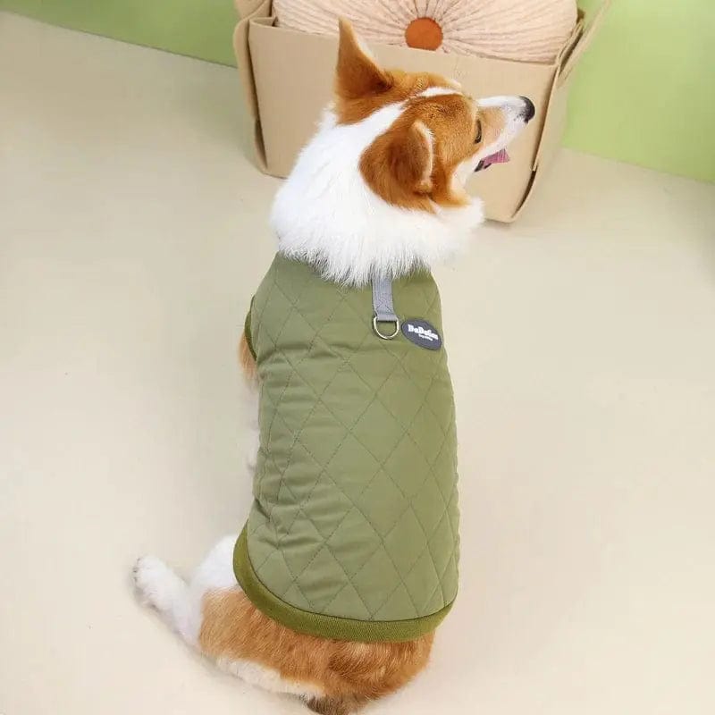 Dog Cotton Coat | Dog Winter Coat | Essentialshouses