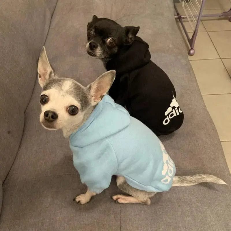 Dog Winter Warm Large Hoodie - Essentialshouses