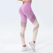 Women Leggings Fitness Running Yoga Pant - Essentialshouses