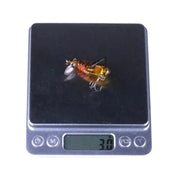 Essentialshouses Artificial Grasshopper Fishing Bait