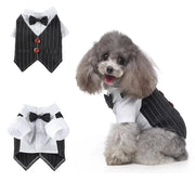 Essentialshouses Black Striped / XL Cute Dog Tailcoat Suit