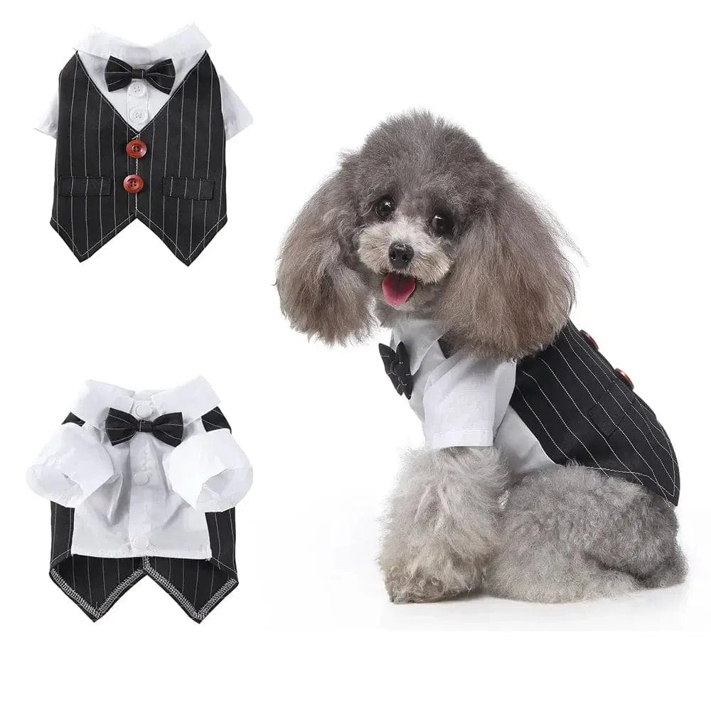 Essentialshouses Black Striped / XL Cute Dog Tailcoat Suit
