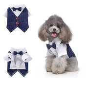 Essentialshouses Blue collar / M Cute Dog Tailcoat Suit