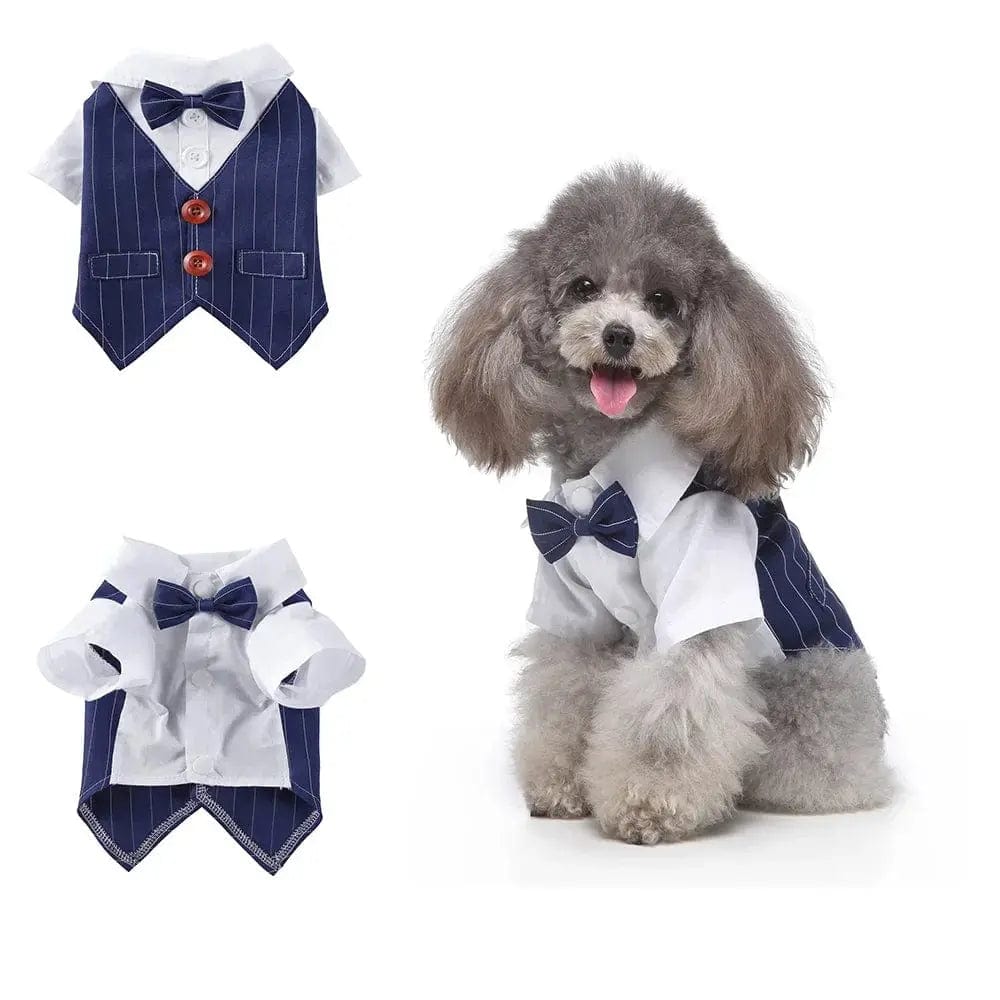 Essentialshouses Blue collar / M Cute Dog Tailcoat Suit