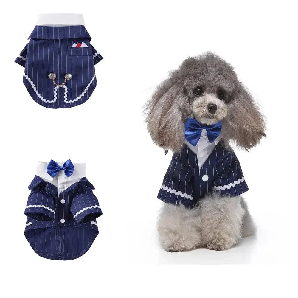 Essentialshouses Blue collar tie suit / XL Cute Dog Tailcoat Suit