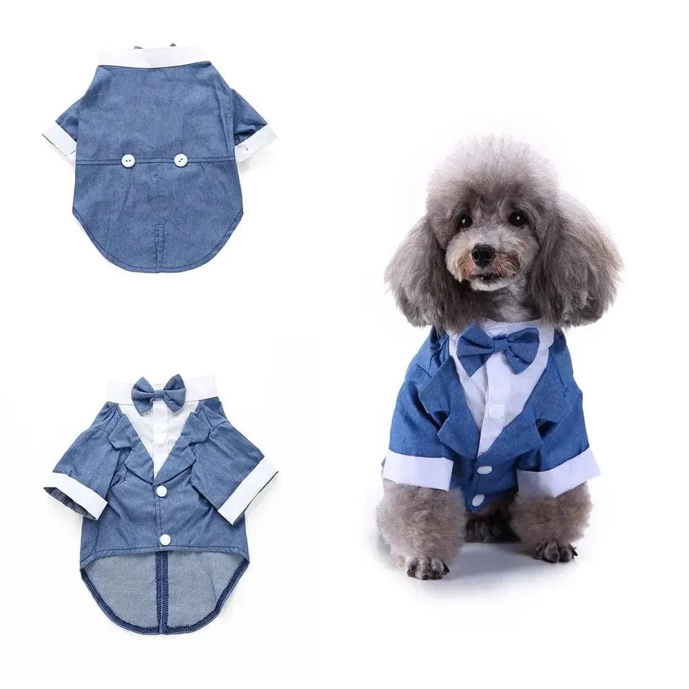 Essentialshouses Blue / S Cute Dog Tailcoat Suit
