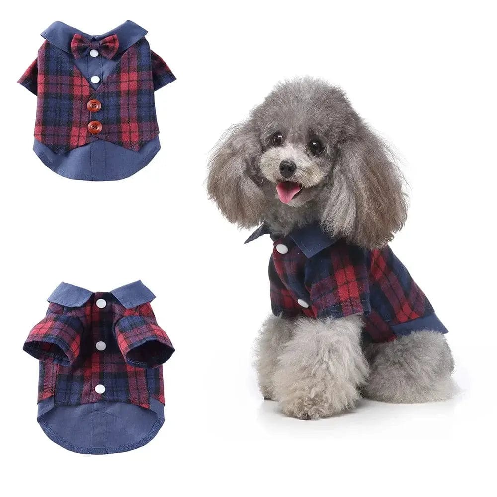 Essentialshouses Blue vest / M Cute Dog Tailcoat Suit