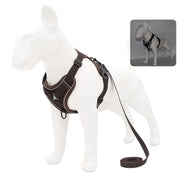 Essentialshouses Coffee / M 3.5-5.5 kg Dog Adjustable Harness Leash Set