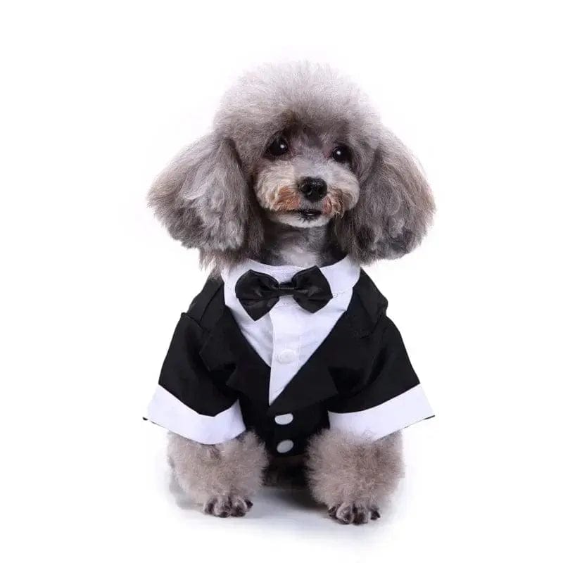 Essentialshouses Cute Dog Tailcoat Suit
