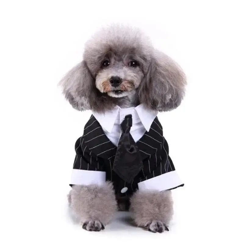 Essentialshouses Cute Dog Tailcoat Suit
