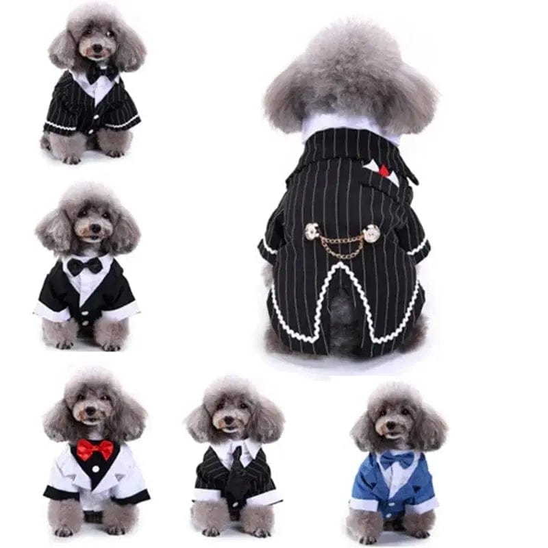 Essentialshouses Cute Dog Tailcoat Suit