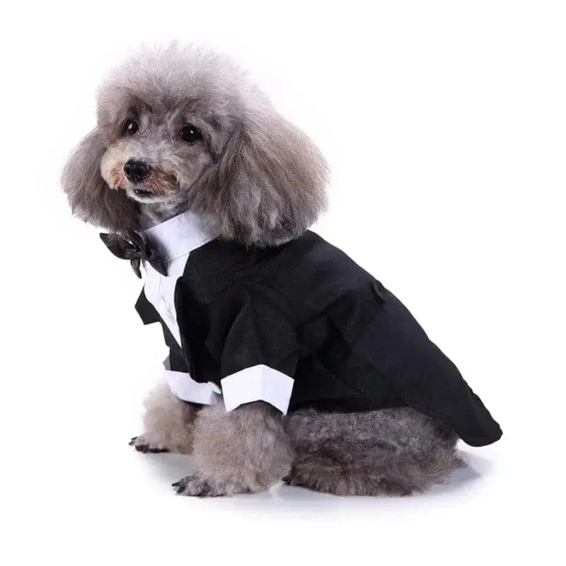 Essentialshouses Cute Dog Tailcoat Suit