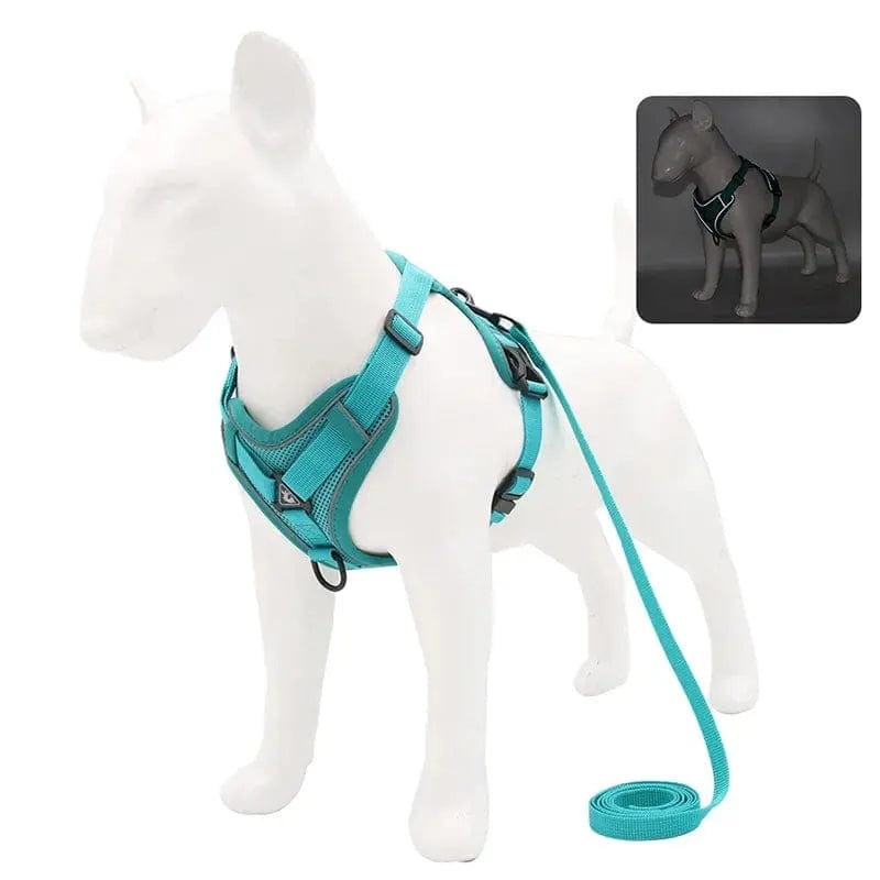 Essentialshouses Cyan / XL 7.5-10 kg Dog Adjustable Harness Leash Set