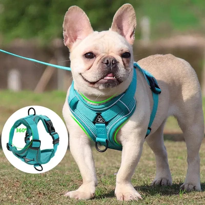 Essentialshouses Dog Adjustable Harness Leash Set