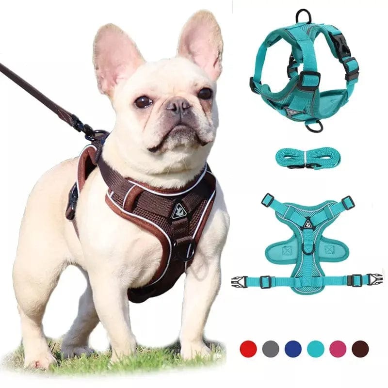 Essentialshouses Dog Adjustable Harness Leash Set