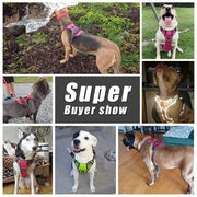 Essentialshouses Dog Breathable Reflective Harness Vest