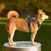 Essentialshouses Dog Breathable Reflective Harness Vest