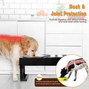 Essentialshouses Dog Double Elevated Stand Bowl