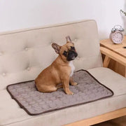 Dog Summer Cooling Mat - Essentialshouses