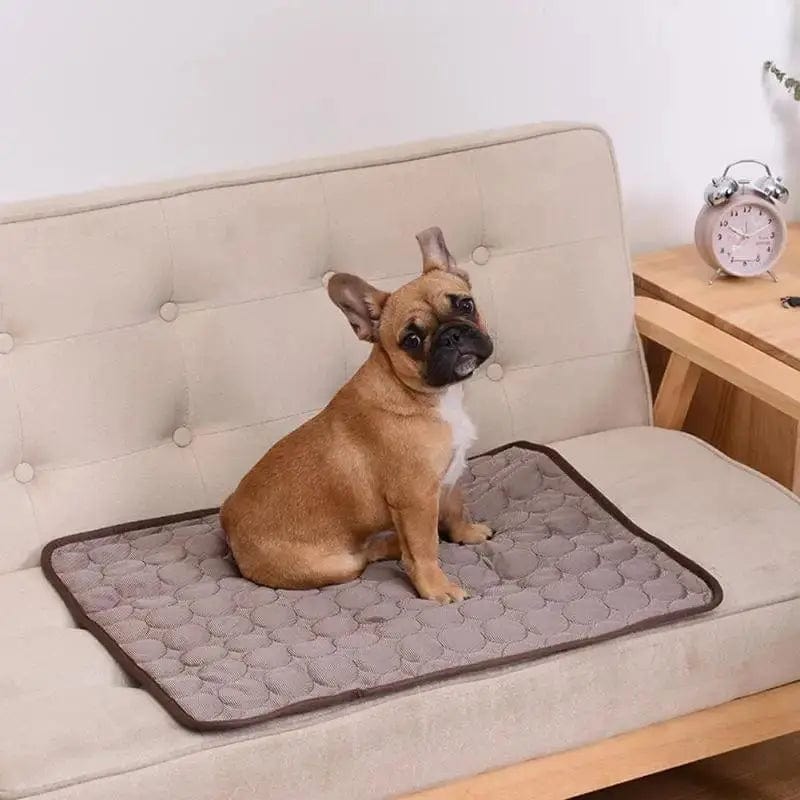 Dog Summer Cooling Mat - Essentialshouses