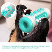 Essentialshouses Dog Teeth Cleaning Chew Toy