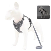 Essentialshouses Gray / XL 7.5-10 kg Dog Adjustable Harness Leash Set
