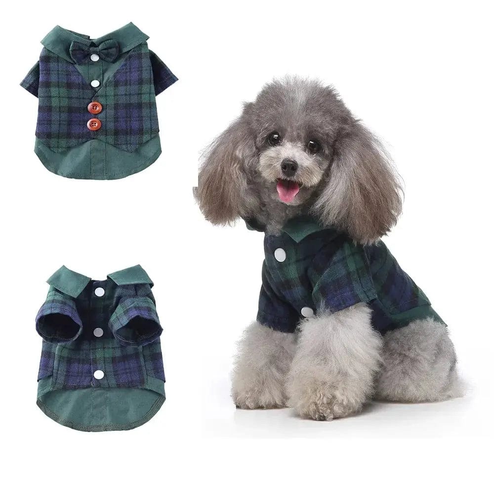 Essentialshouses Green vest / M Cute Dog Tailcoat Suit
