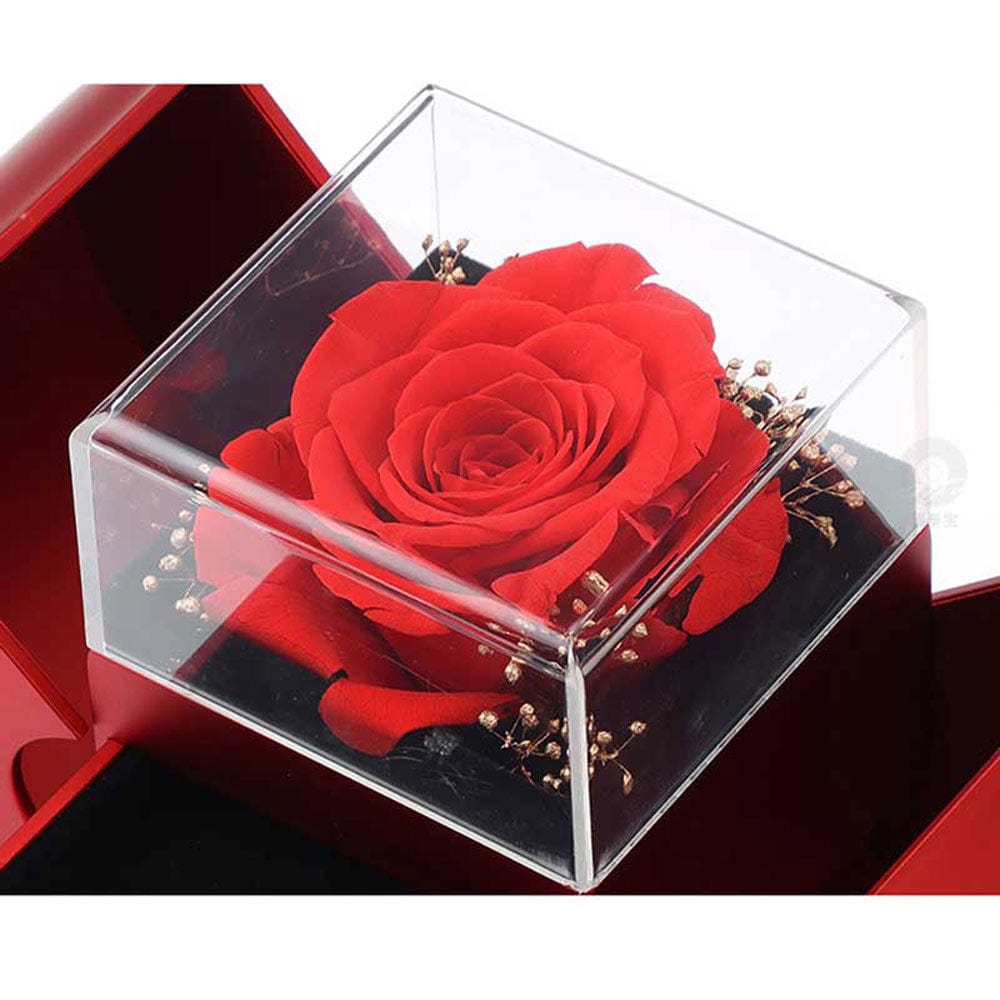 Essentialshouses Jewelry Red Apple Eternal Rose Jewelry Box with Necklace