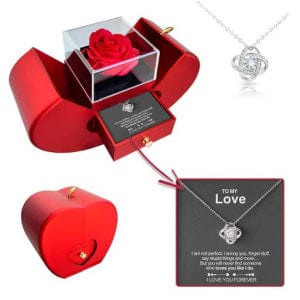 Essentialshouses Jewelry Red Apple Eternal Rose Jewelry Box with Necklace