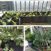 Essentialshouses Large Rectangular Vegetables Grow Pot