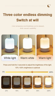 Essentialshouses Led Night Lights Bedside Dimmable Charging Desktop Night Lamps Bedroom Bedside Lighting Decoration Touch Led Reading Table Lamp