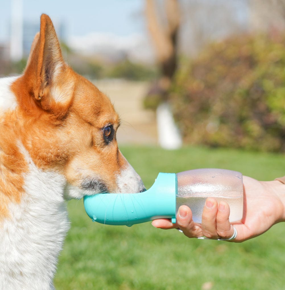 Essentialshouses Pet Feeder Portable Drinking Cup For Pets