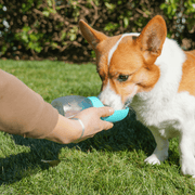 Essentialshouses Pet Feeder Portable Drinking Cup For Pets