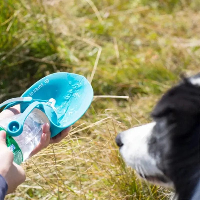 Essentialshouses Pet Outdoor Drinking Water Bottle