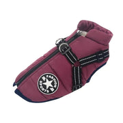 Essentialshouses Purple / M Dog Waterproof Warm Harness Jacket