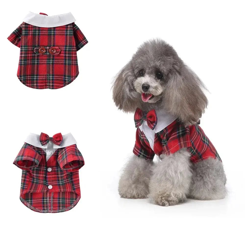 Essentialshouses Red checked / XL Cute Dog Tailcoat Suit