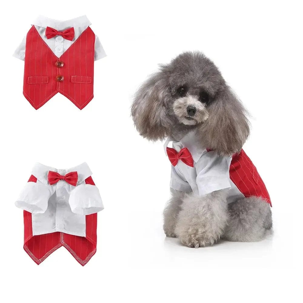 Essentialshouses Red striped 2 / XL Cute Dog Tailcoat Suit