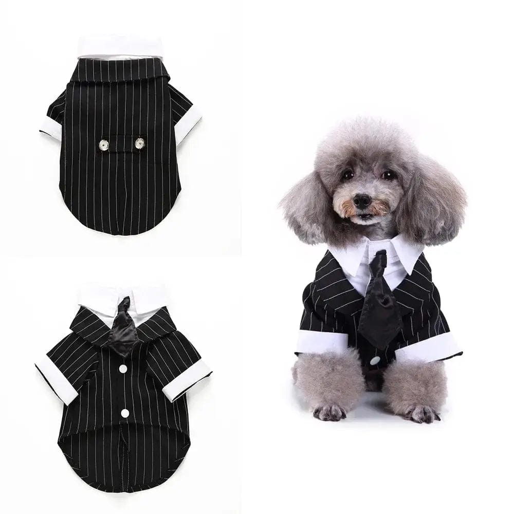 Essentialshouses Suits / S Cute Dog Tailcoat Suit