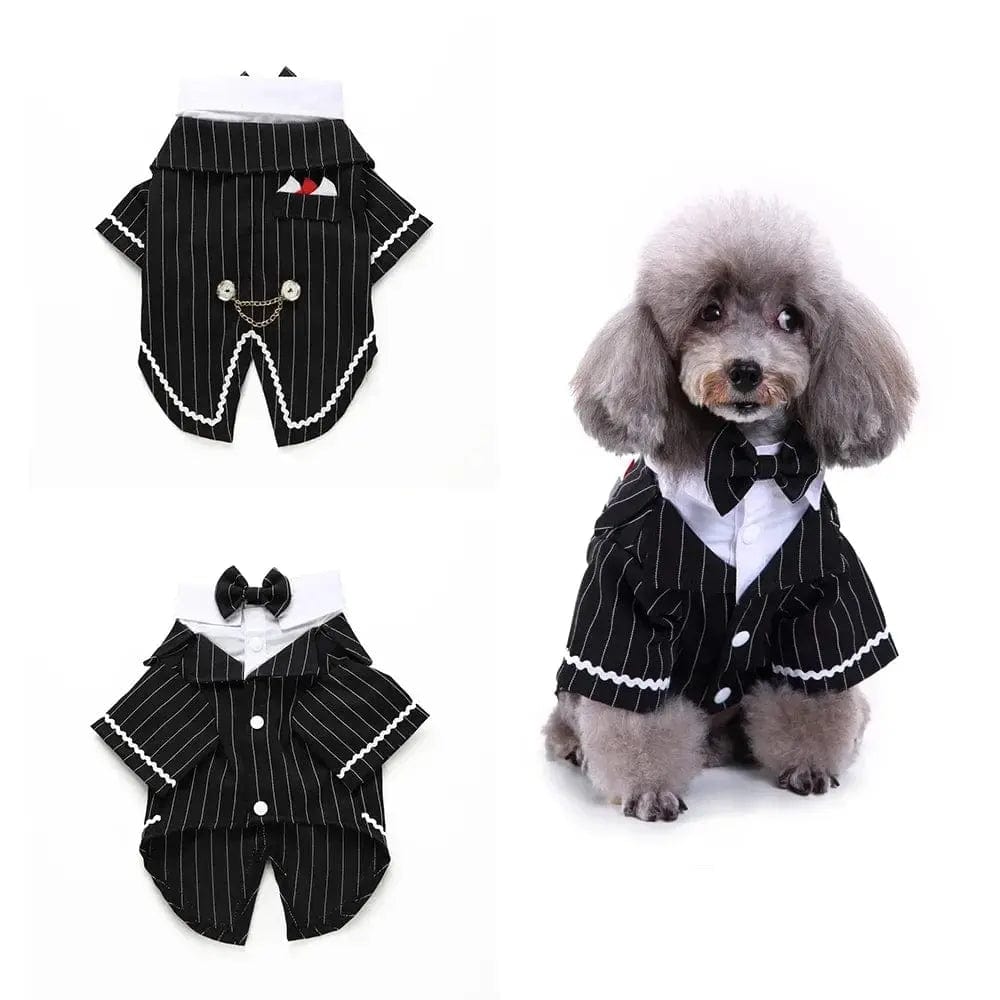 Essentialshouses Tuxedo / S Cute Dog Tailcoat Suit