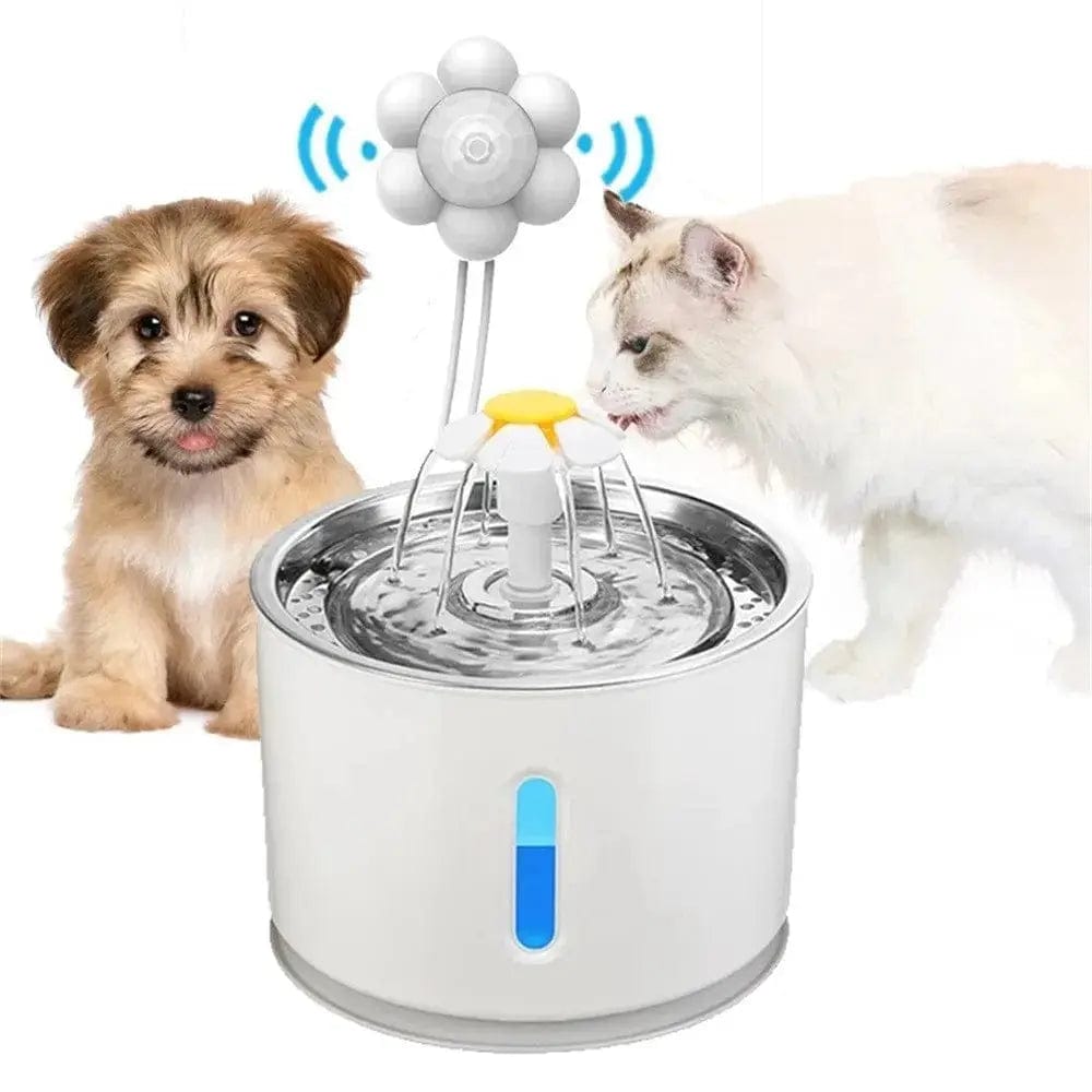 Dog Water Fountain | Dog Drinking Fountain | Essentialshouses