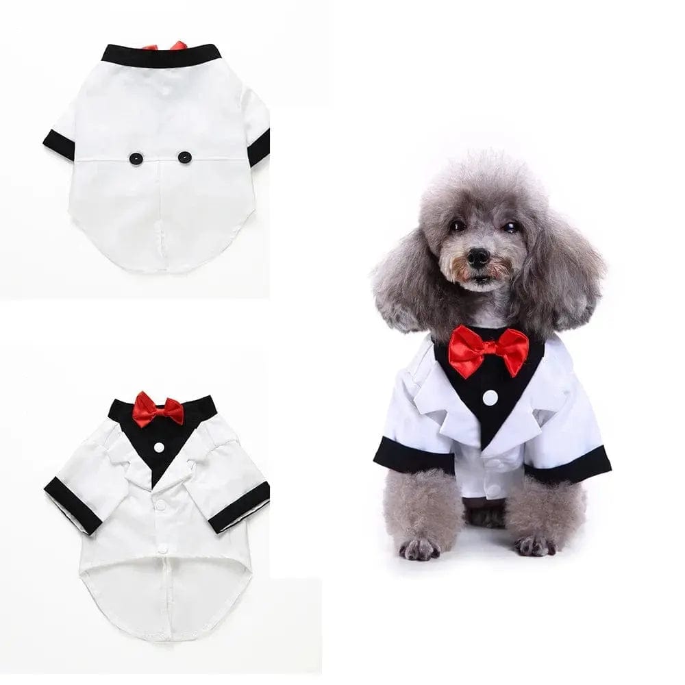 Essentialshouses White / S Cute Dog Tailcoat Suit