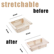Essentials House Beige Fridge Organizer Storage Box Creative Multifunctional Refrigerator Drawer for Fruit Egg Food Plastic