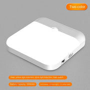 Essentials House White Warm colour Motion Sensor Light USB Night Light LED Lamp With Switch Rechargeable Inductor Lights