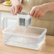 Essentials House Refrigerator Food Drain Fresh-keeping Box Ginger Garlic Onion Pepper Storage Box Fruit Vegetable Drain